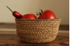 Tucan basket bowls