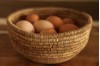 Tucan basket bowls